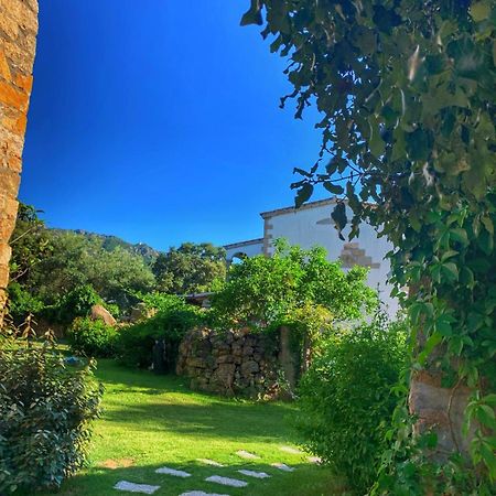 Agriturismo Casteddu Padru Экстерьер фото