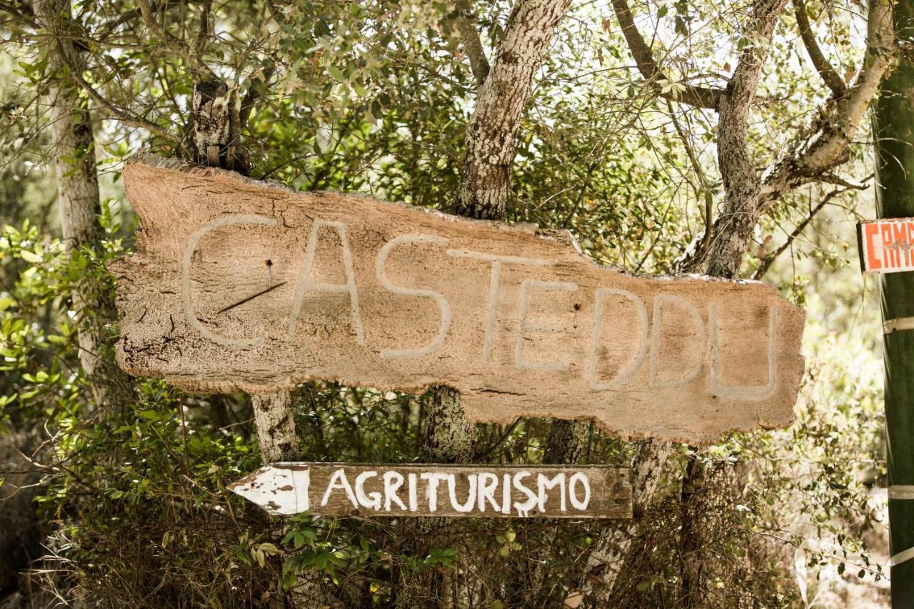 Agriturismo Casteddu Padru Экстерьер фото