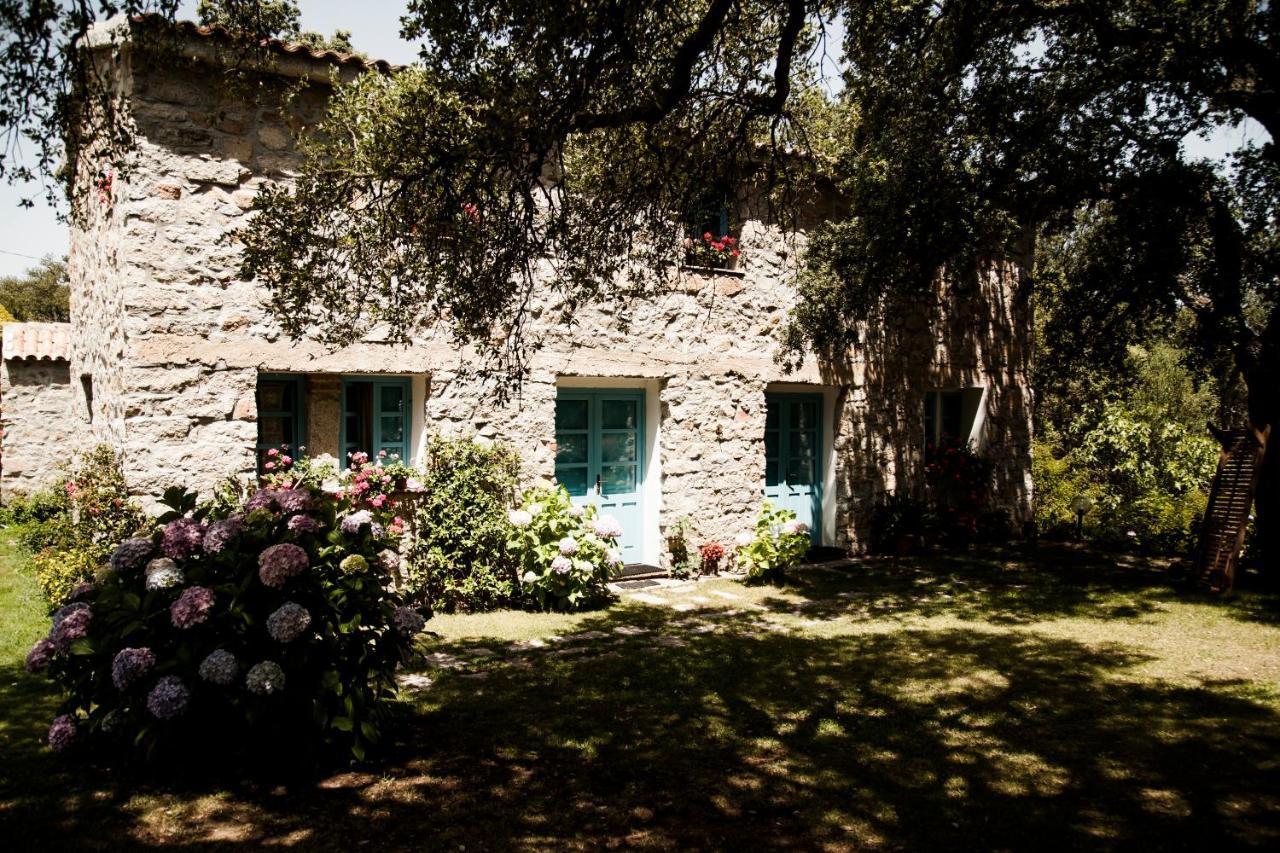 Agriturismo Casteddu Padru Экстерьер фото