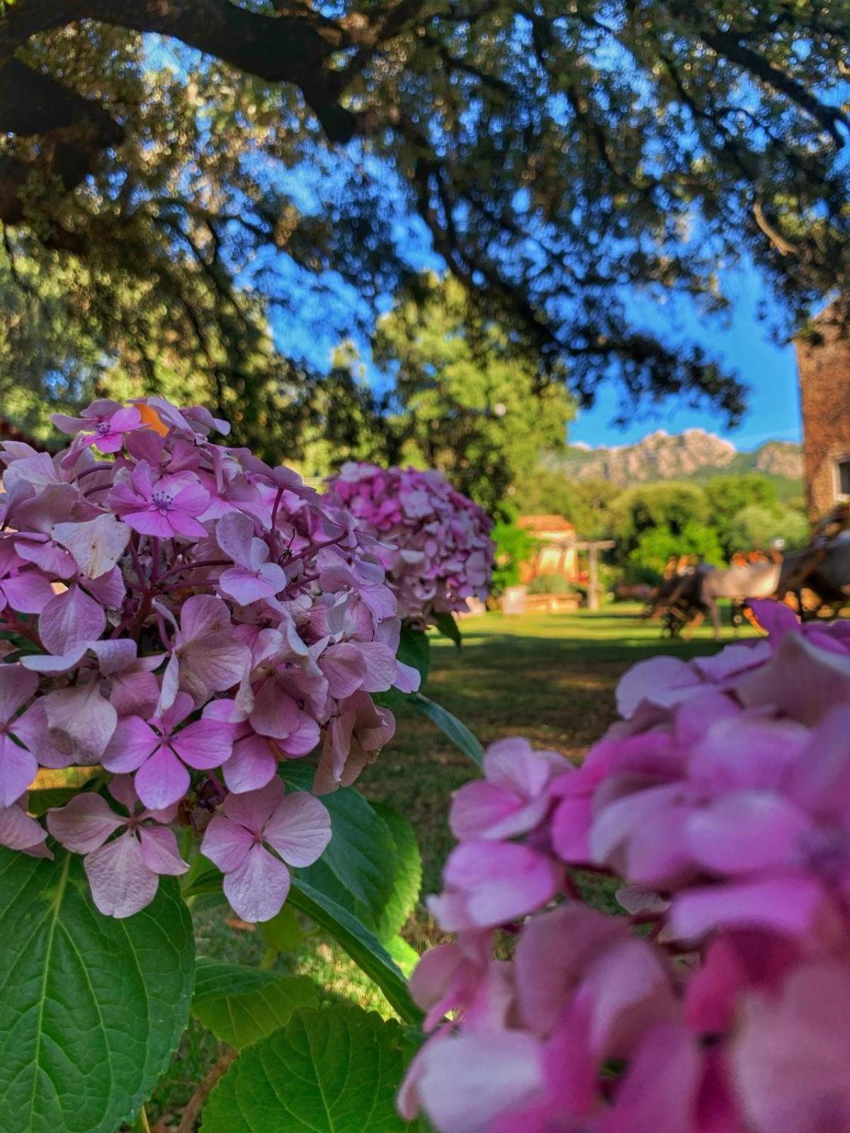 Agriturismo Casteddu Padru Экстерьер фото