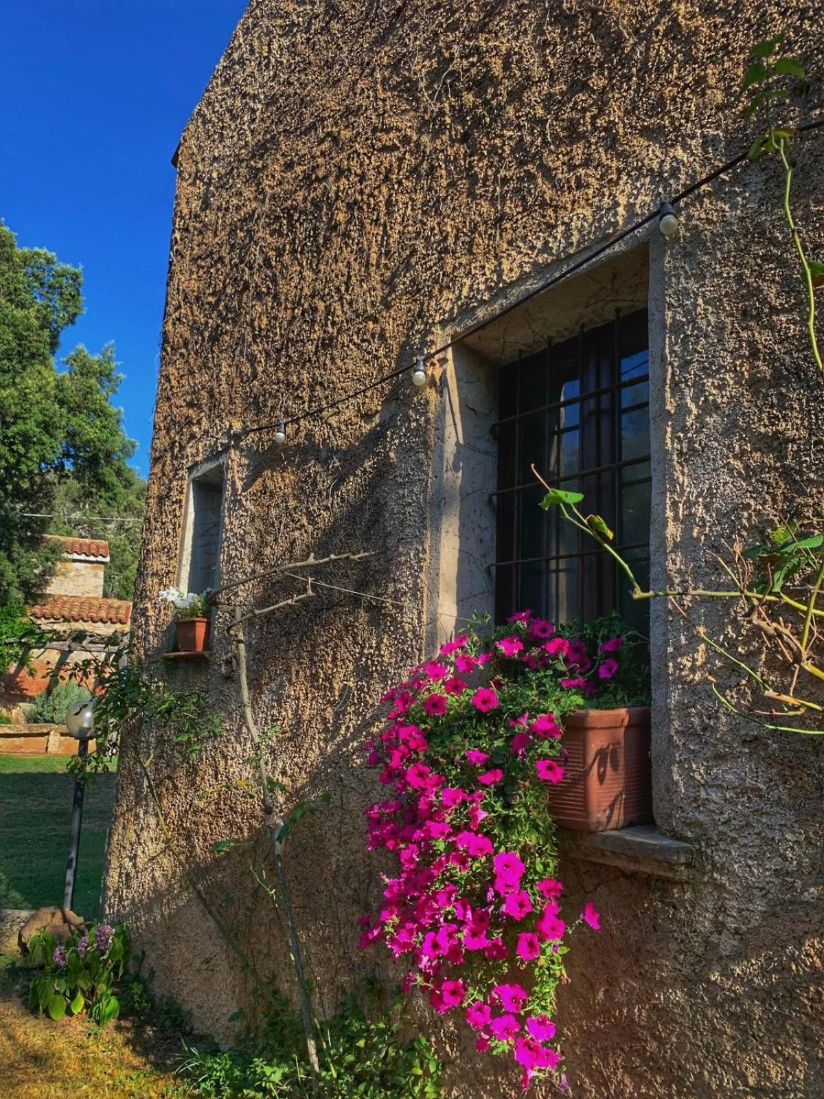 Agriturismo Casteddu Padru Экстерьер фото