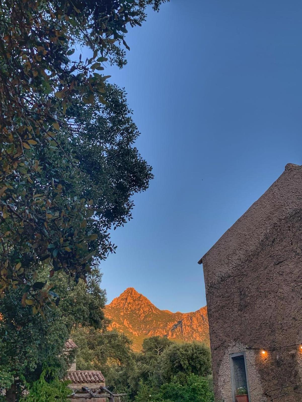 Agriturismo Casteddu Padru Экстерьер фото